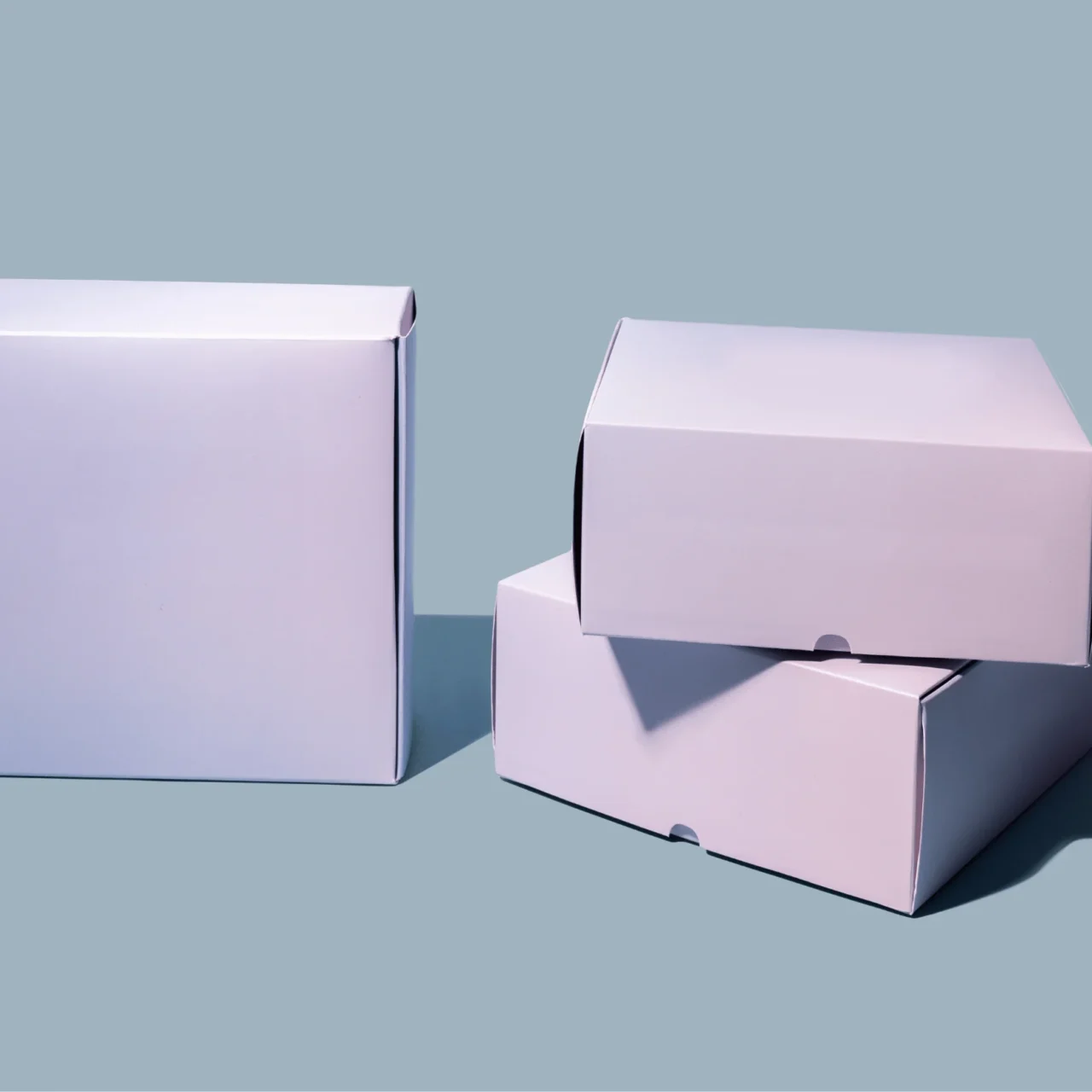 Untitled design (89) (1)