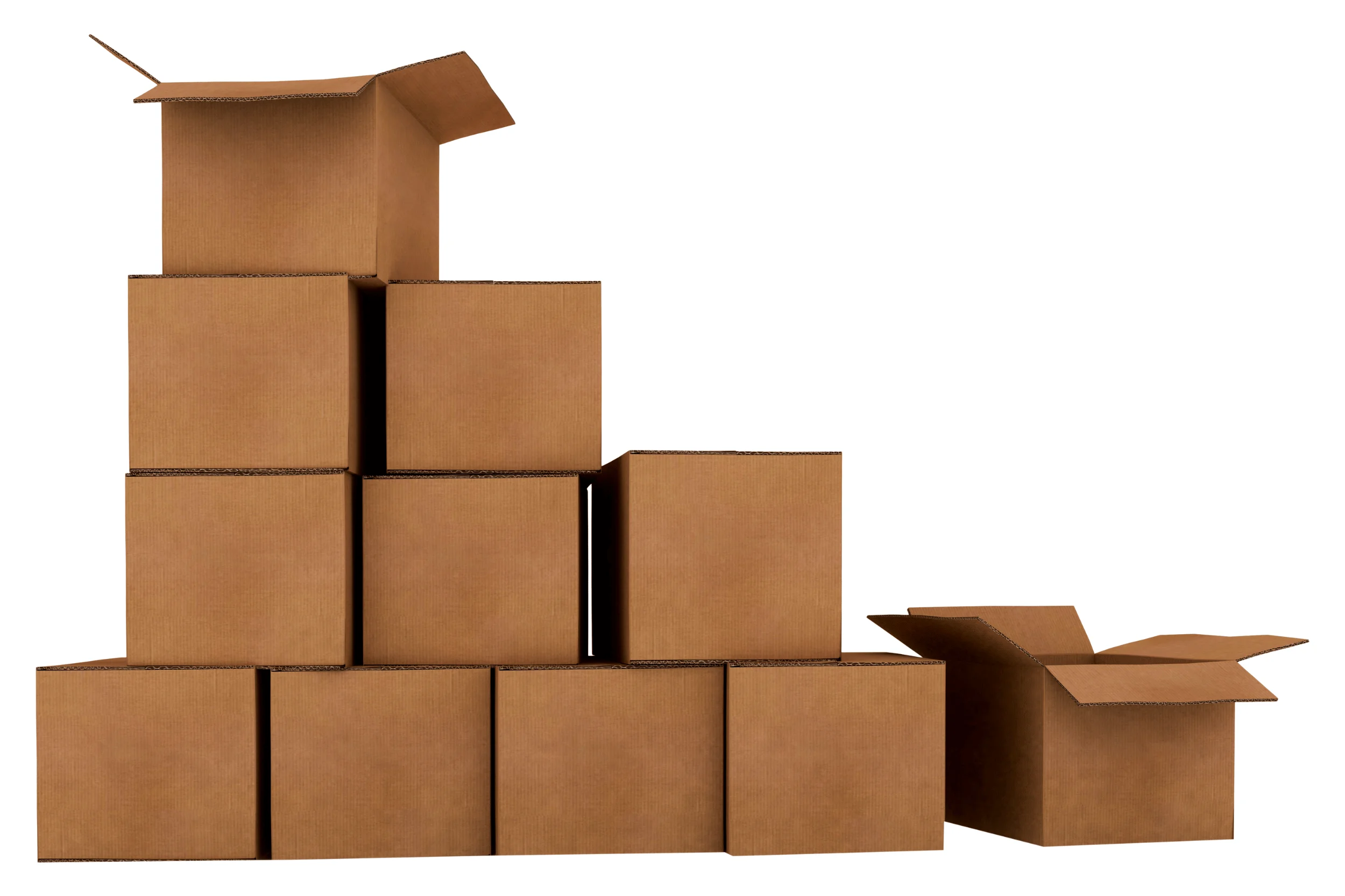 Untitled design (89)